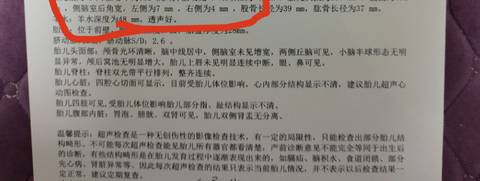 journal_insert_pic_1681205134