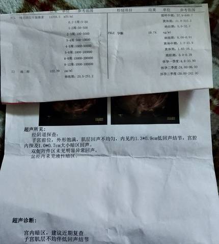 journal_insert_pic_1688372162