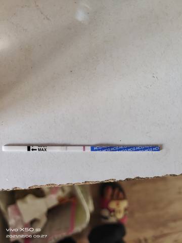 journal_insert_pic_1674640222