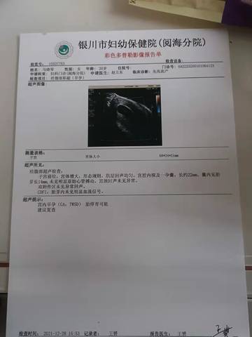 journal_insert_pic_1687973854