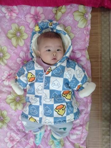 journal_insert_pic_1719874219