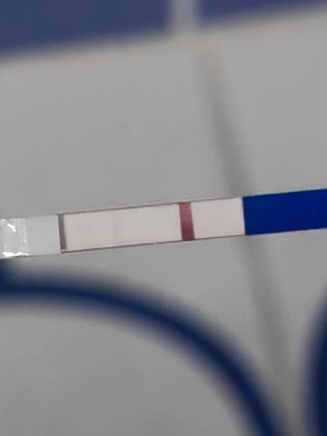 journal_insert_pic_1682544297