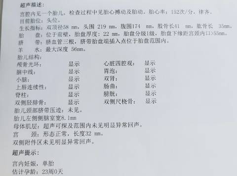 journal_insert_pic_1740903836
