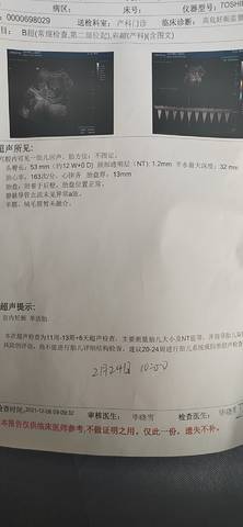 journal_insert_pic_1677347397