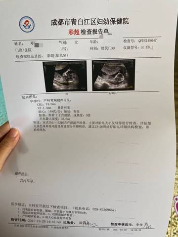 journal_insert_pic_1689549505