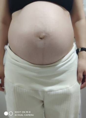 journal_insert_pic_1687209320