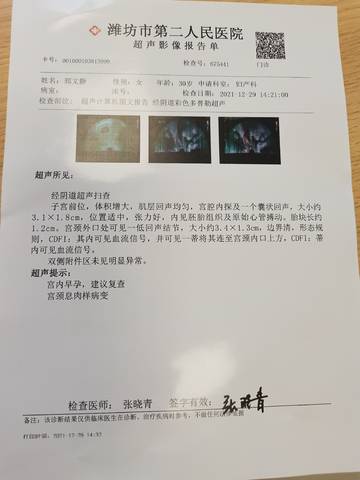 journal_insert_pic_1688552624