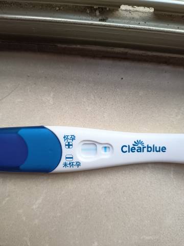 journal_insert_pic_1685928768