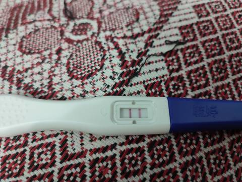 journal_insert_pic_1681258697