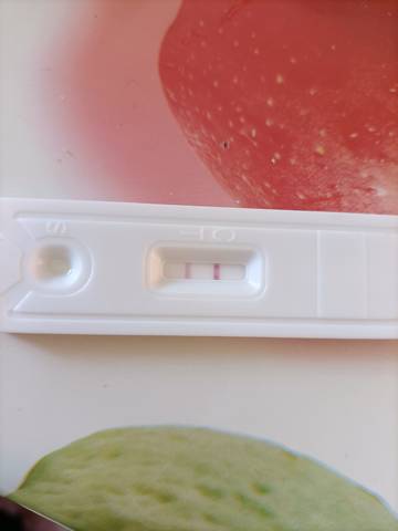 journal_insert_pic_1688845416