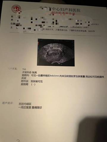 journal_insert_pic_1687431986