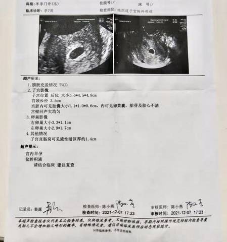 journal_insert_pic_1681261915
