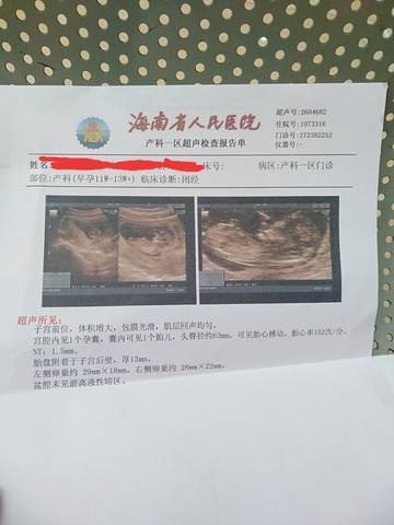 journal_insert_pic_1684443906