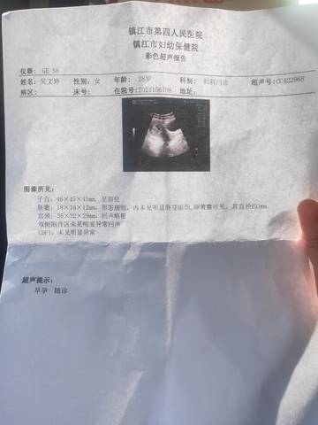 journal_insert_pic_1686406479