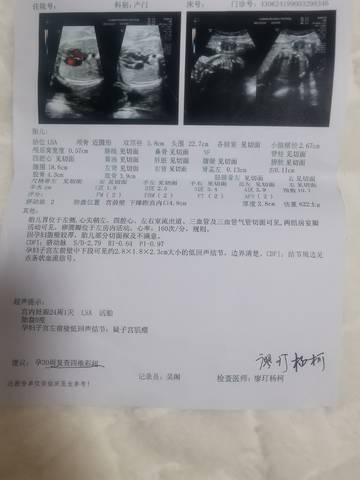 journal_insert_pic_1686102053