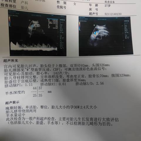 journal_insert_pic_1679870346