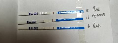 journal_insert_pic_1681113322