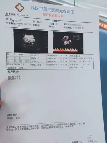 journal_insert_pic_1685404896
