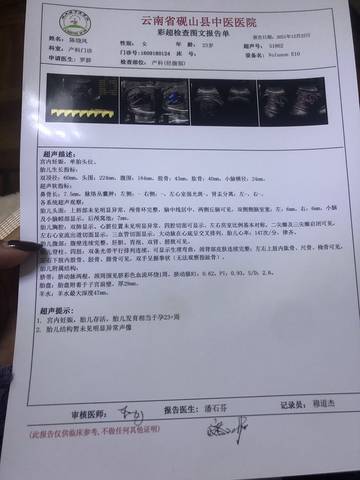 journal_insert_pic_1688563592