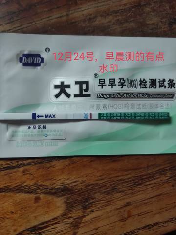 journal_insert_pic_1685698527