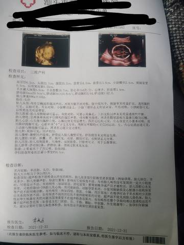 journal_insert_pic_1689900872