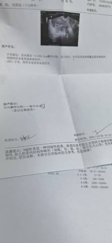 journal_insert_pic_1688675089