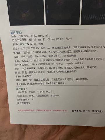 journal_insert_pic_1684341756