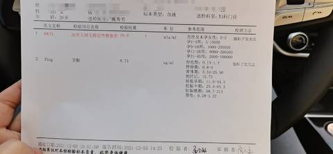 journal_insert_pic_1673045030