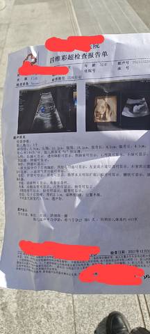 journal_insert_pic_1685275939