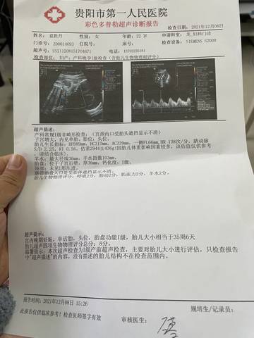 journal_insert_pic_1676144660