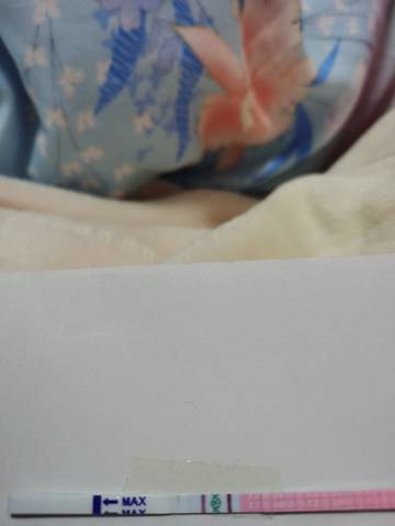 journal_insert_pic_1689330237