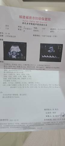 journal_insert_pic_1689434685