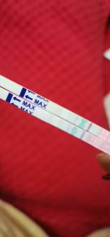 journal_insert_pic_1681323966