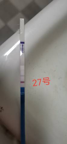 journal_insert_pic_1689212997