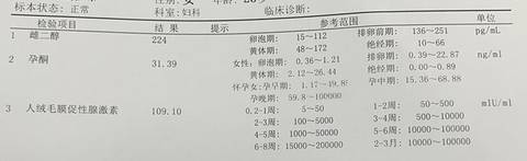 journal_insert_pic_1719619497