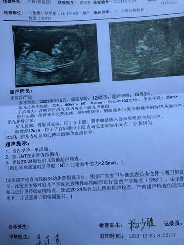 journal_insert_pic_1676622110