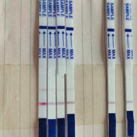 journal_insert_pic_1685153346