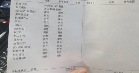 journal_insert_pic_1677335618