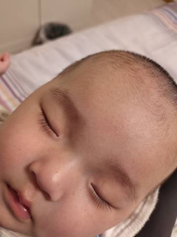 journal_insert_pic_1679252422