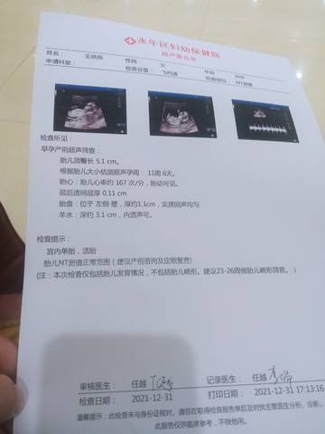journal_insert_pic_1689634508