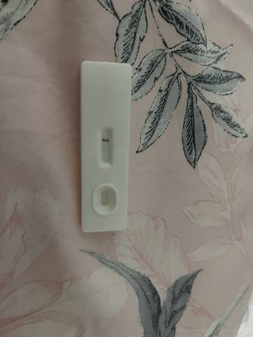 journal_insert_pic_1679962144