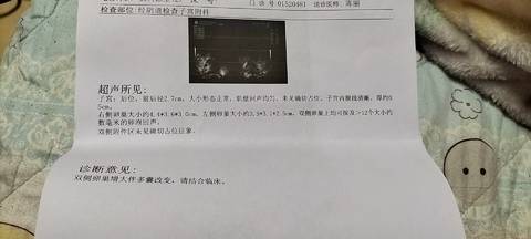 journal_insert_pic_1677653568