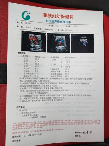 journal_insert_pic_1682950371
