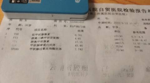 journal_insert_pic_1719719000