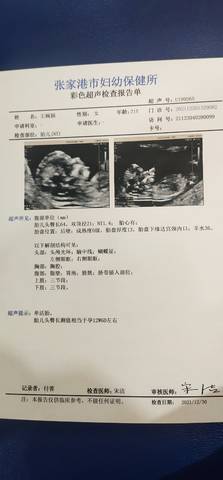 journal_insert_pic_1689004924