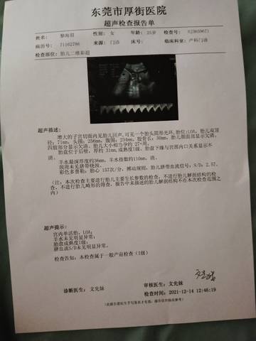 journal_insert_pic_1679827088