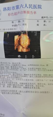 journal_insert_pic_1679531210