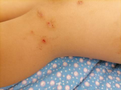 journal_insert_pic_1677083586