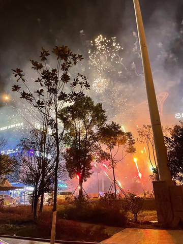 journal_insert_pic_1689892630