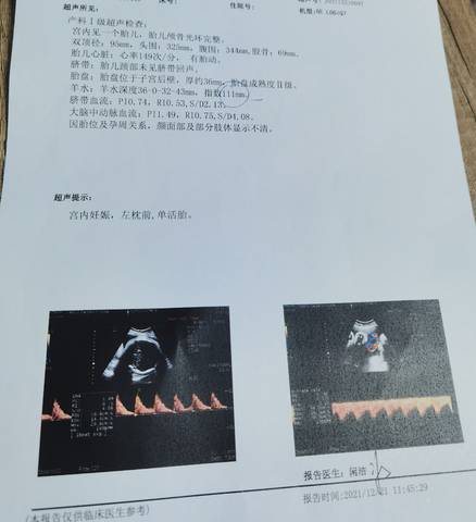 journal_insert_pic_1685660289